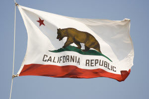 California state falt