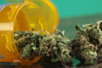 marijuana in prescription bottle