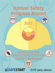 annual safety progress report