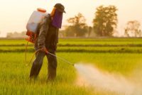 Pesticide worker