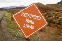 Prescribed burn