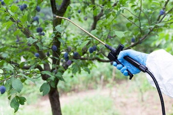 EPA Revises Pesticide BE Method Under Endangered Species Act - EHS ...