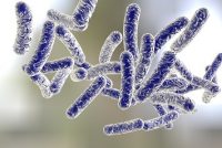 Legionella bacteria, Legionnaire's Disease