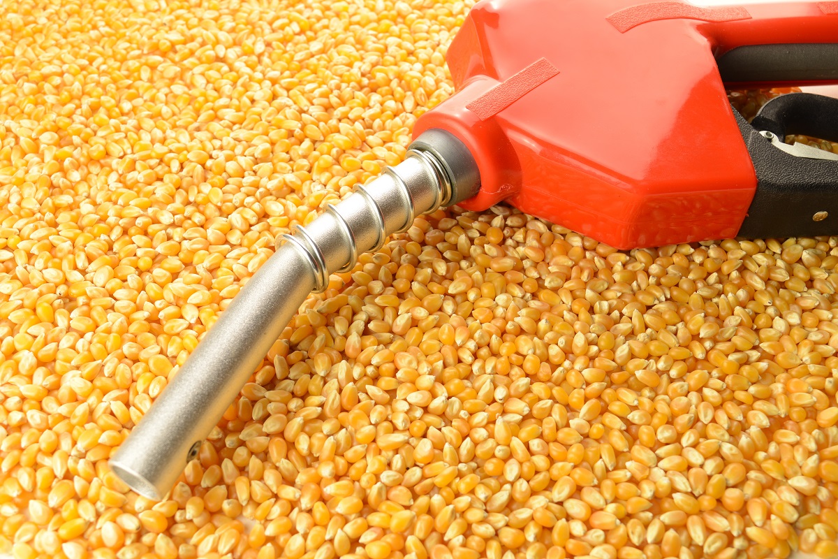 RFS corn gas biofuel.