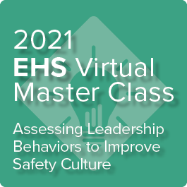 Safety Culture Leadership Virtual Master Class Logo
