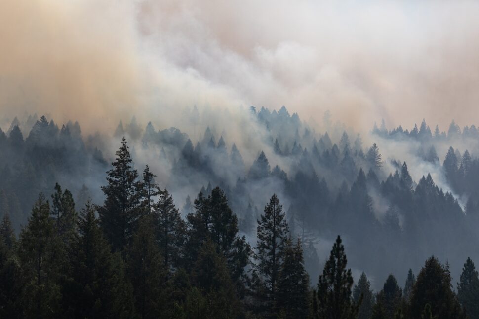 Oregon Adds Permanent Heat, Smoke Standards - EHS Daily Advisor