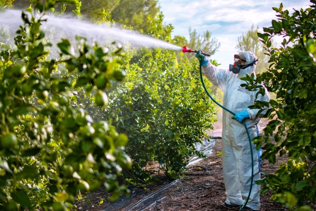 The problem with pesticides