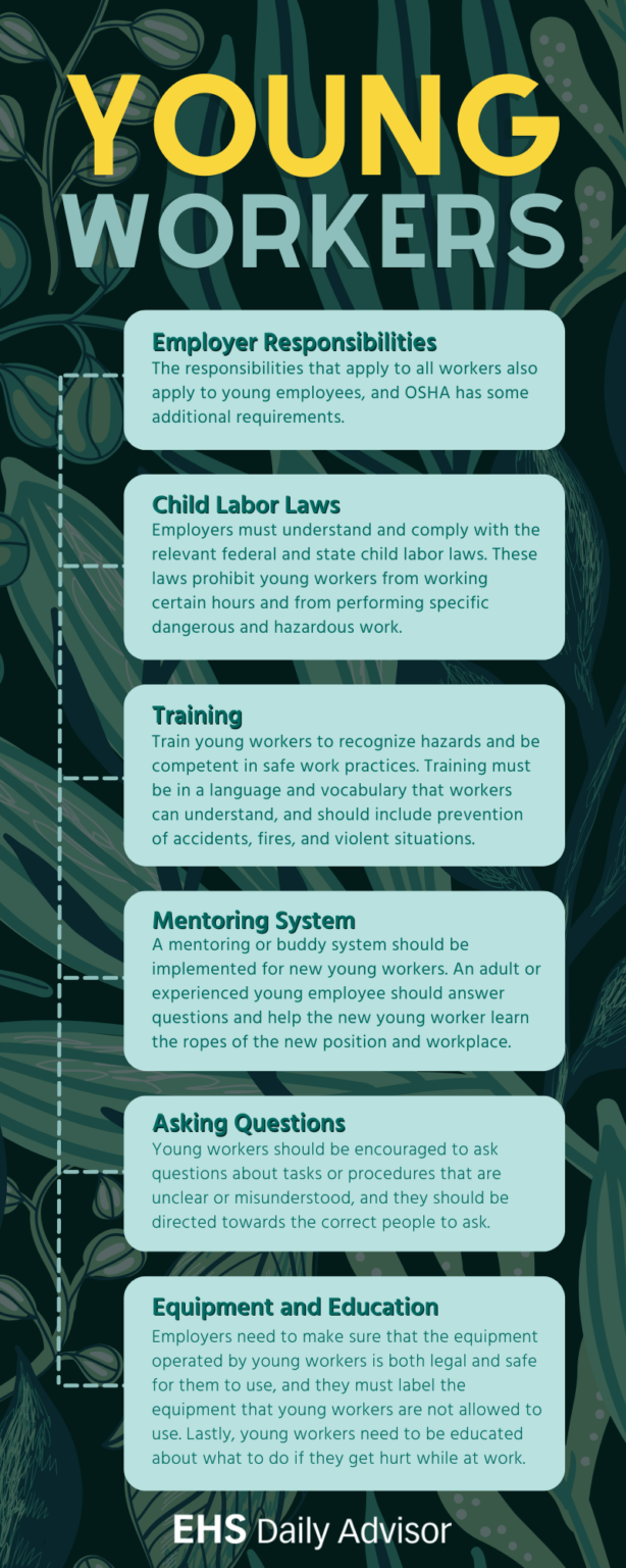 Infographic: Young Workers - EHS Daily Advisor